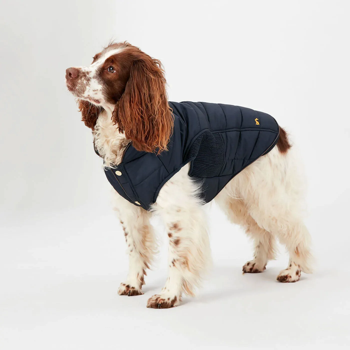 Joules Cherrington Padded Dog Coat