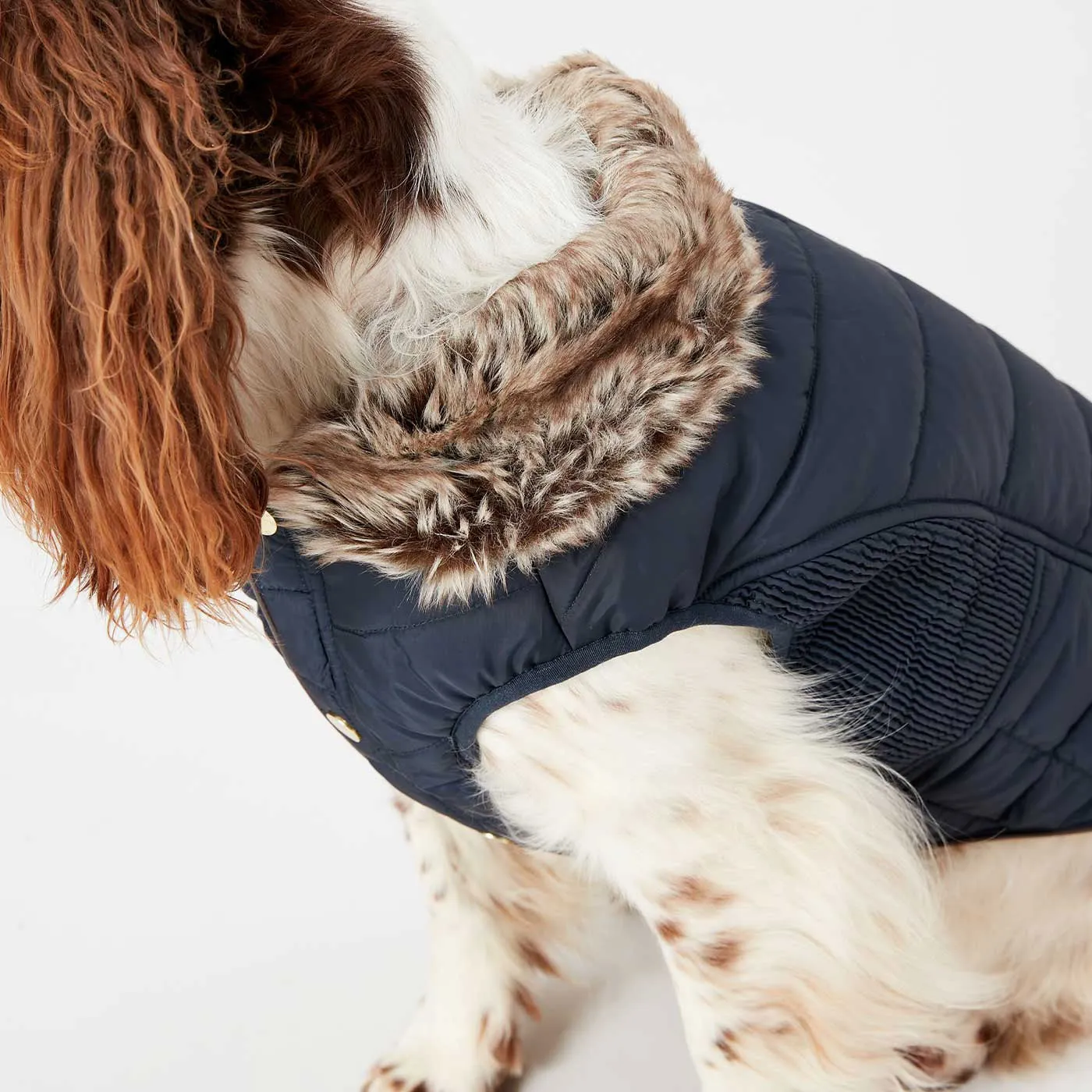 Joules Cherrington Padded Dog Coat