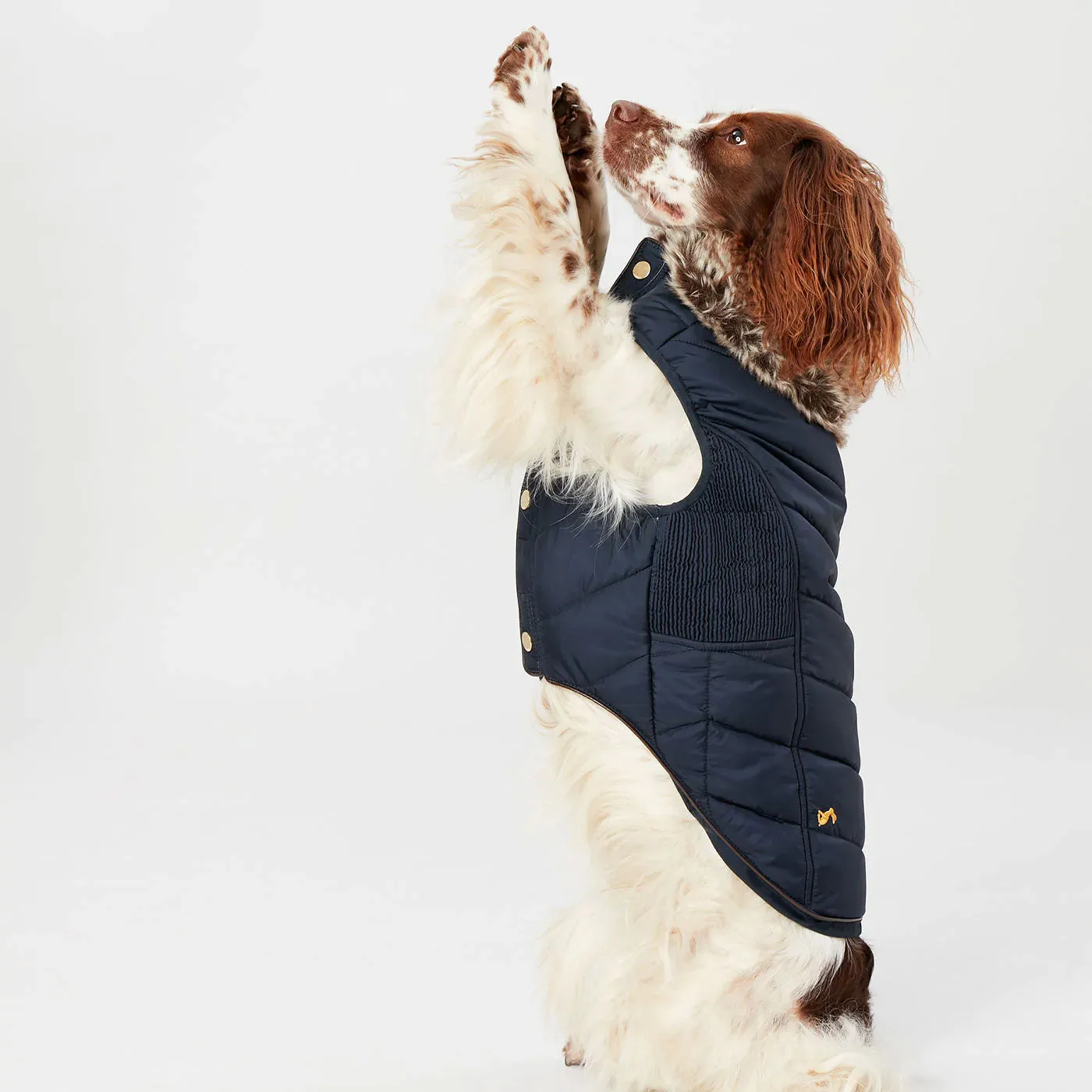 Joules Cherrington Padded Dog Coat